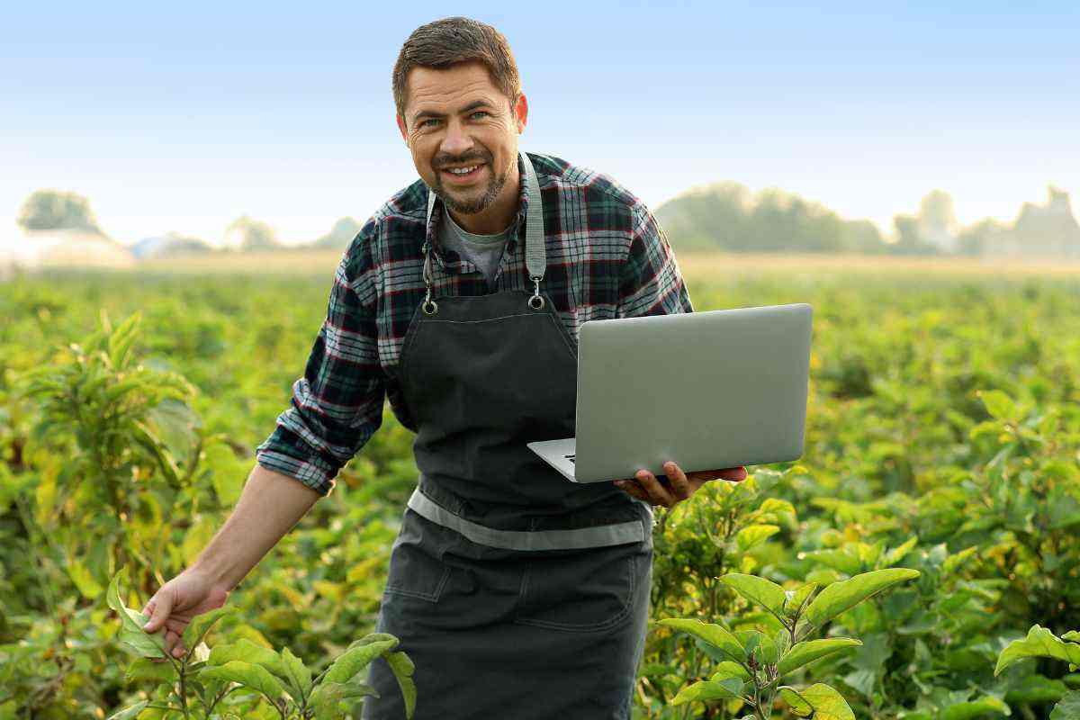 Se lavori in questi settori puoi ottenere fino a 160.000 euro, tutti i dettagli e le curiosità